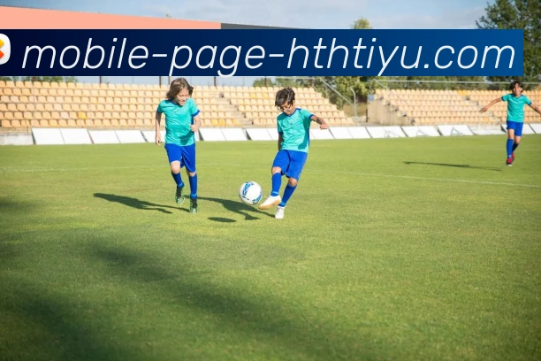 华体会体育APP 封面图